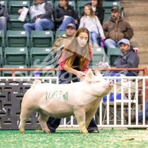 Meet your Posher, Bailey